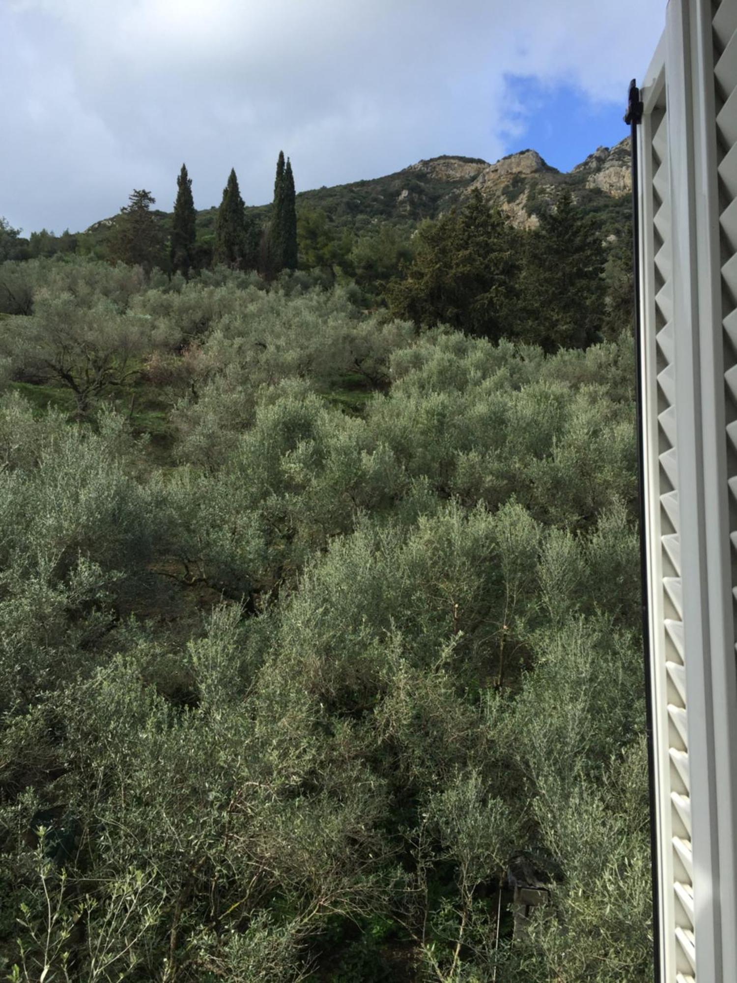 Belvedere Zakynthos Studios Vasilikí Cameră foto