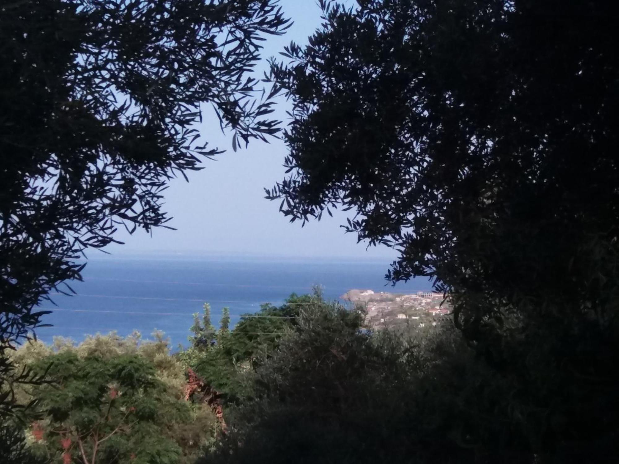 Belvedere Zakynthos Studios Vasilikí Cameră foto