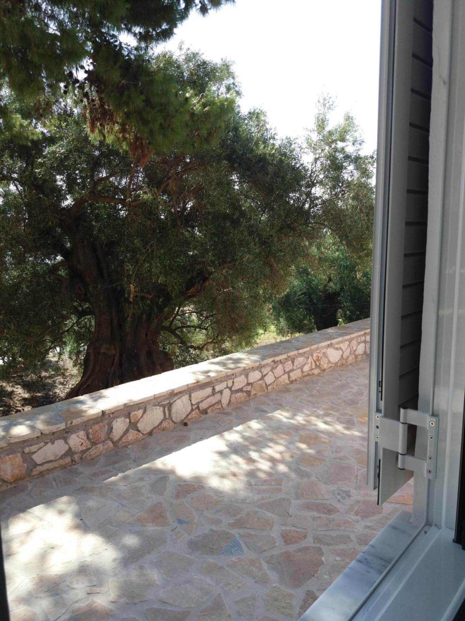 Belvedere Zakynthos Studios Vasilikí Cameră foto
