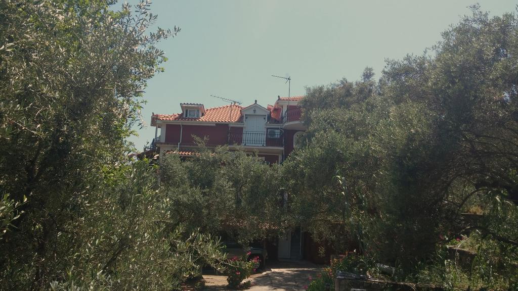Belvedere Zakynthos Studios Vasilikí Exterior foto